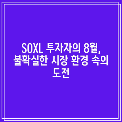 SOXL 장기 투자자의 8월 시련