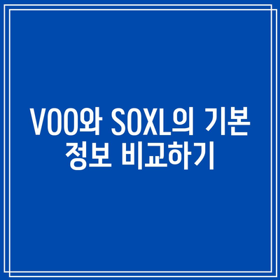 VOO vs. SOXL: 장기 투자에 어느 것을 선택해야 하는가?