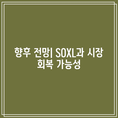 SOXL 장기 투자자에게 혹독했던 8월