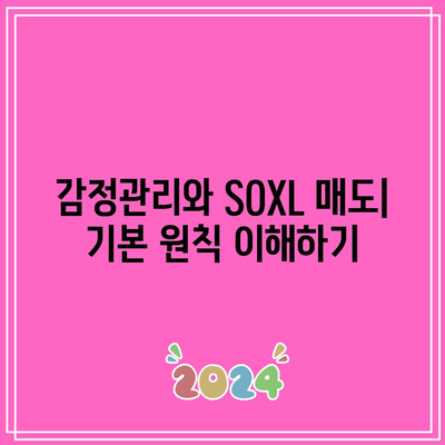 SOXL 매도로 감정 처리하는 방법