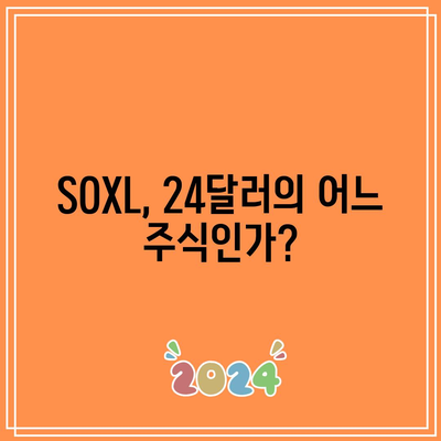 24달러의 공포: SOXL 대량 매수의 이유