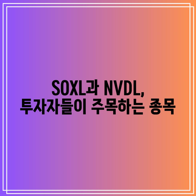 서학개미 해외주식 순매수 순위: SOXL과 NVDL