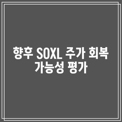 엔비디아 실적 하락에도 불구하고 SOXL 주가 폭락