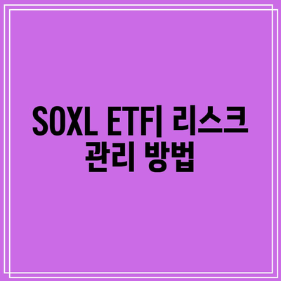 SOXL ETF: 투자 전문가 인터뷰 및 견해