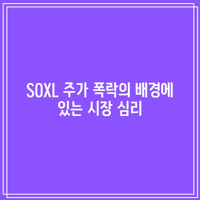 엔비디아 실적 하락에도 불구하고 SOXL 주가 폭락