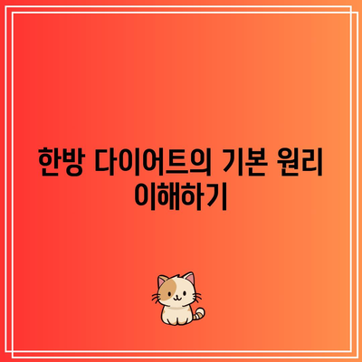 한방 다이어트로 건강한 삶 영위