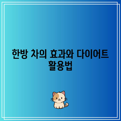 한방 다이어트로 건강한 삶 영위