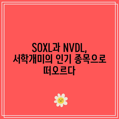 서학개미 해외주식 순매수 순위에서 SOXL과 NVDL 상승