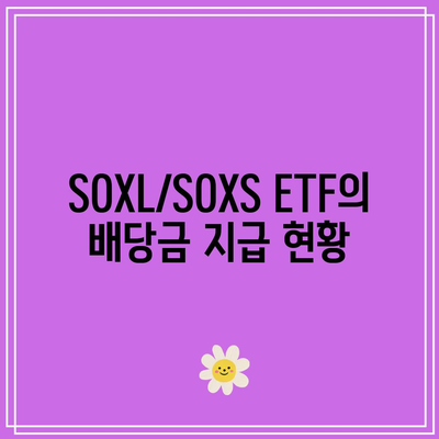 SOXL/SOXS ETF 실제 투자 기록 및 배당