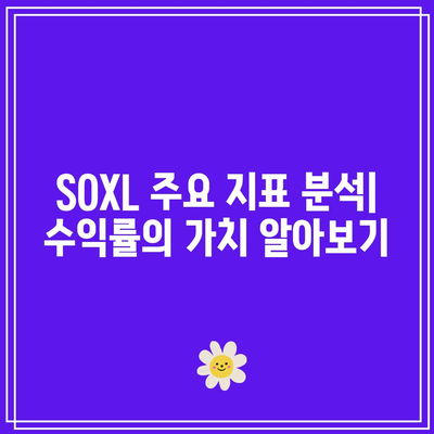 SOXL 가격-수익률 분석: 주가 대비 수익력 평가