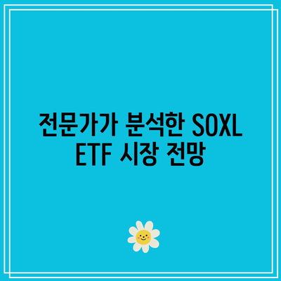 SOXL ETF: 투자 전문가 인터뷰 및 견해