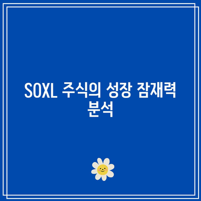 SOXL 주식 매수: 24달러의 공포에도 불구하고 1,000만 원을 투자한 이유