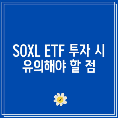 SOXL ETF: 투자 전문가 인터뷰 및 견해