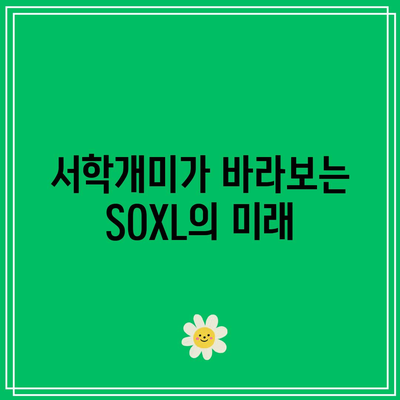 서학개미가 가장 많이 거래한 SOXL