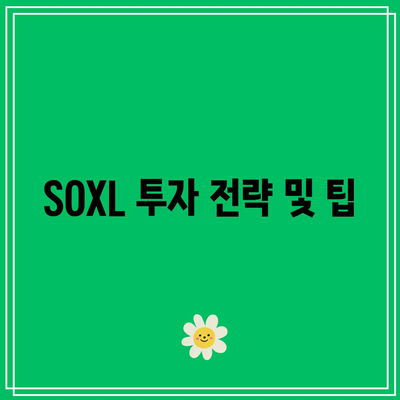 미국 반도체 ETF SOXL, 소개 및 투자 고려사항