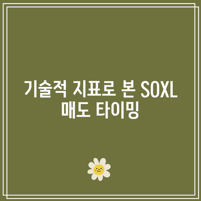 SOXL의 매도 사인 파악: 30.3불 종가를 주목하라