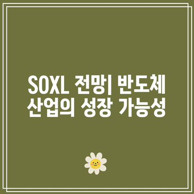 서학개미의 해외주식 투자 현황과 SOXL의 전망