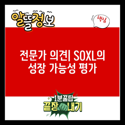 SOXL: 새로운 투자 기회인가?