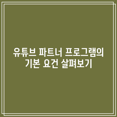 유튜브 파트너 프로그램 신청 및 거절 이유 이해하기