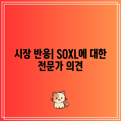 SOXL의 성과와 역사적 경향 분석